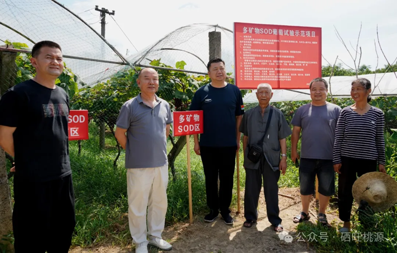 潛心求索特色農(nóng)業(yè)新質(zhì)生產(chǎn)力 助力富硒功能農(nóng)業(yè)高質(zhì)量發(fā)展——桃源縣富硒產(chǎn)業(yè)最新科研成果簡介